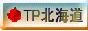 TPfp[g